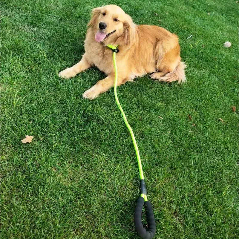 Correa de nailon para entrenamiento de perros grandes P Chian, correa resistente para mascotas para perros medianos y grandes, correas para pastor Labrador, accesorios para mascotas - imagen 5