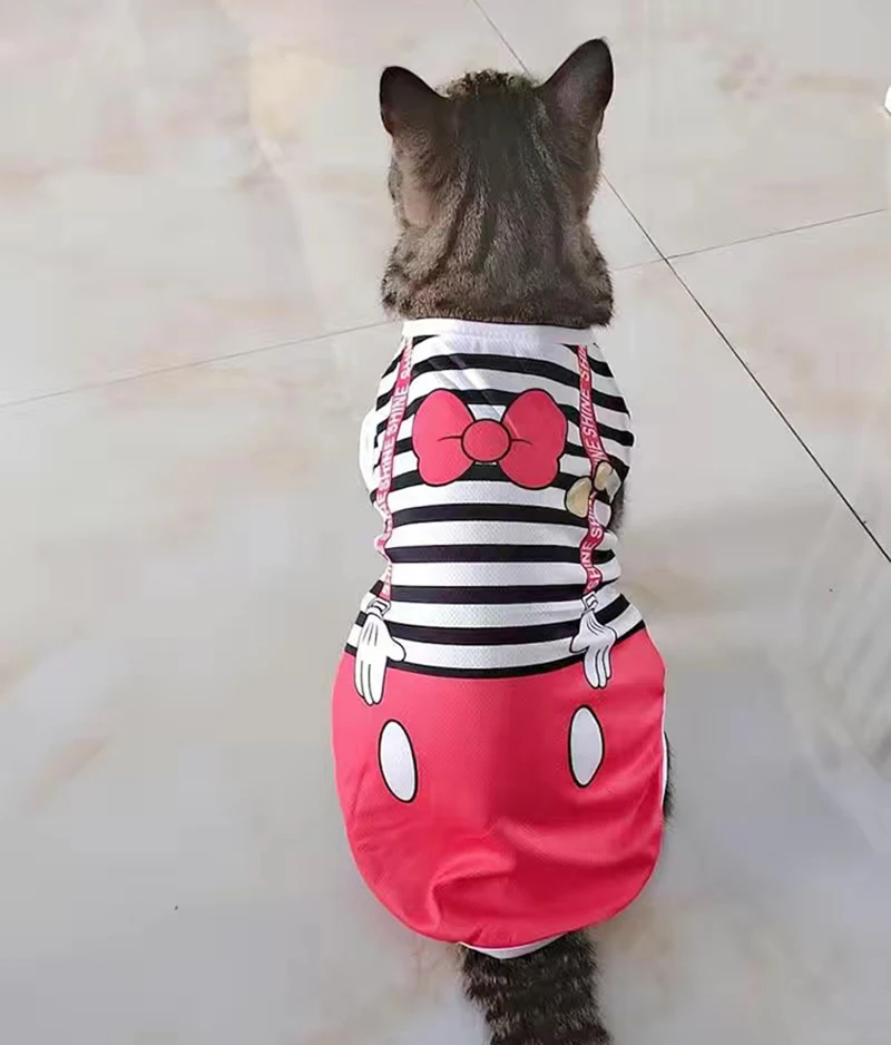 Ropa con estampado dulce de Sphynx para gatos, disfraz de verano para mascotas, chaleco para gatos, Gotas, conejo, gatito persa, ropa para mascotas ubranko dla kota - imagen 3