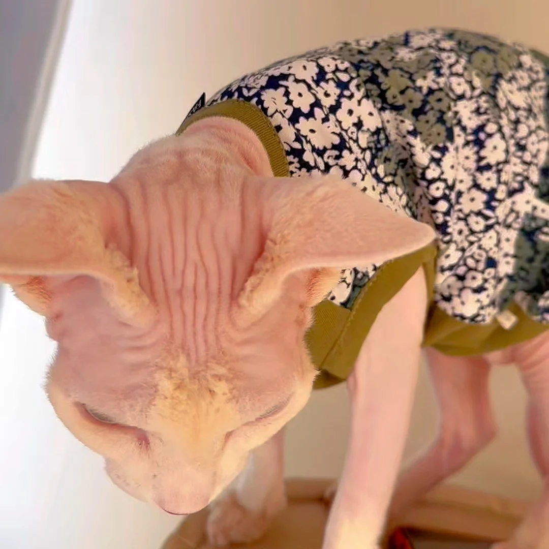 Camiseta de algodón para gato Sphynx – Ropa suave sin pelo - imagen 4