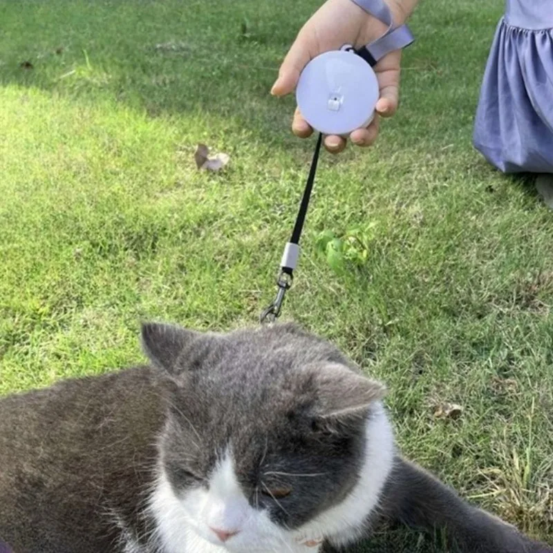 2M/3M Retractable Mini Dog Leash Automatic Flexible Dog Puppy Cat Traction Rope Belt Dog Leash for Small Medium Dogs Pet Product - imagen 2