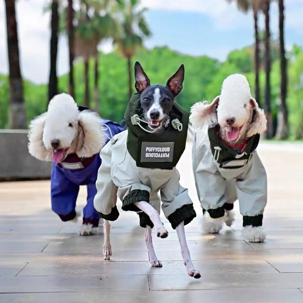 Chaqueta impermeable para perros Italian Greyhound y Bedlington - imagen 4