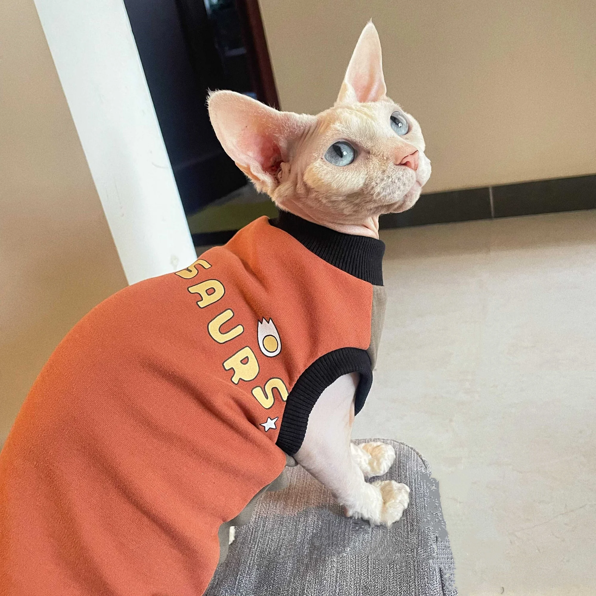Chaleco abrigo invierno para gatos Sphynx y Devon Rex – Cálido suave - imagen 2