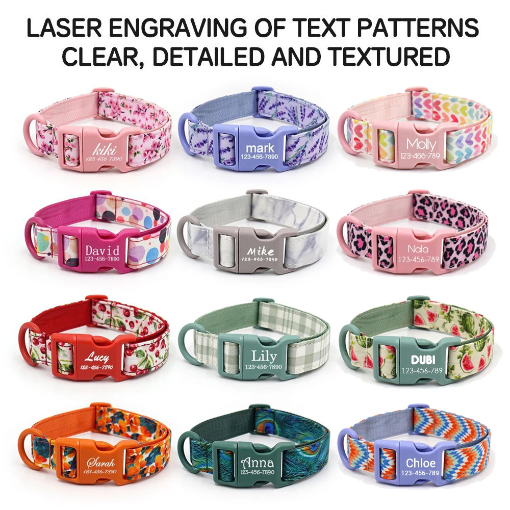 Kit completo de accesorios para perros y gatos – Collar correa y bolsa