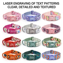 Kit completo de accesorios para perros y gatos – Collar correa y bolsa