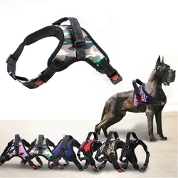 Arnés acolchado y ajustable para perros pequeños y medianos