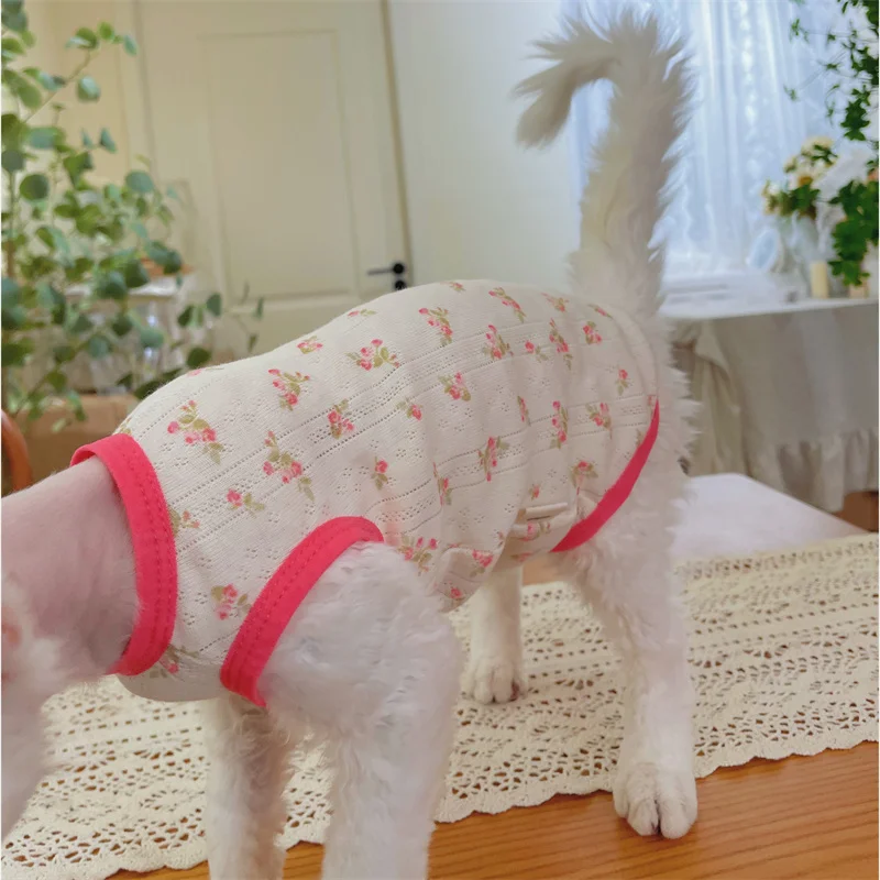 Camiseta de algodón de malla transpirable para gato sin pelo Chaleco de verano floral rojo dulce para ropa de estar por casa Sphynx Cat Devon Rex en primavera