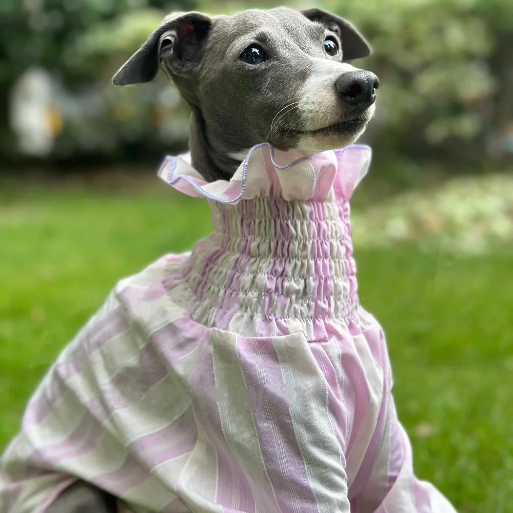 Ropa de perro hembra primavera verano camisa rosa de mangas abullonadas para pequeño galgo tela fresca mangas largas abrigo suave para perro caniche - imagen 5