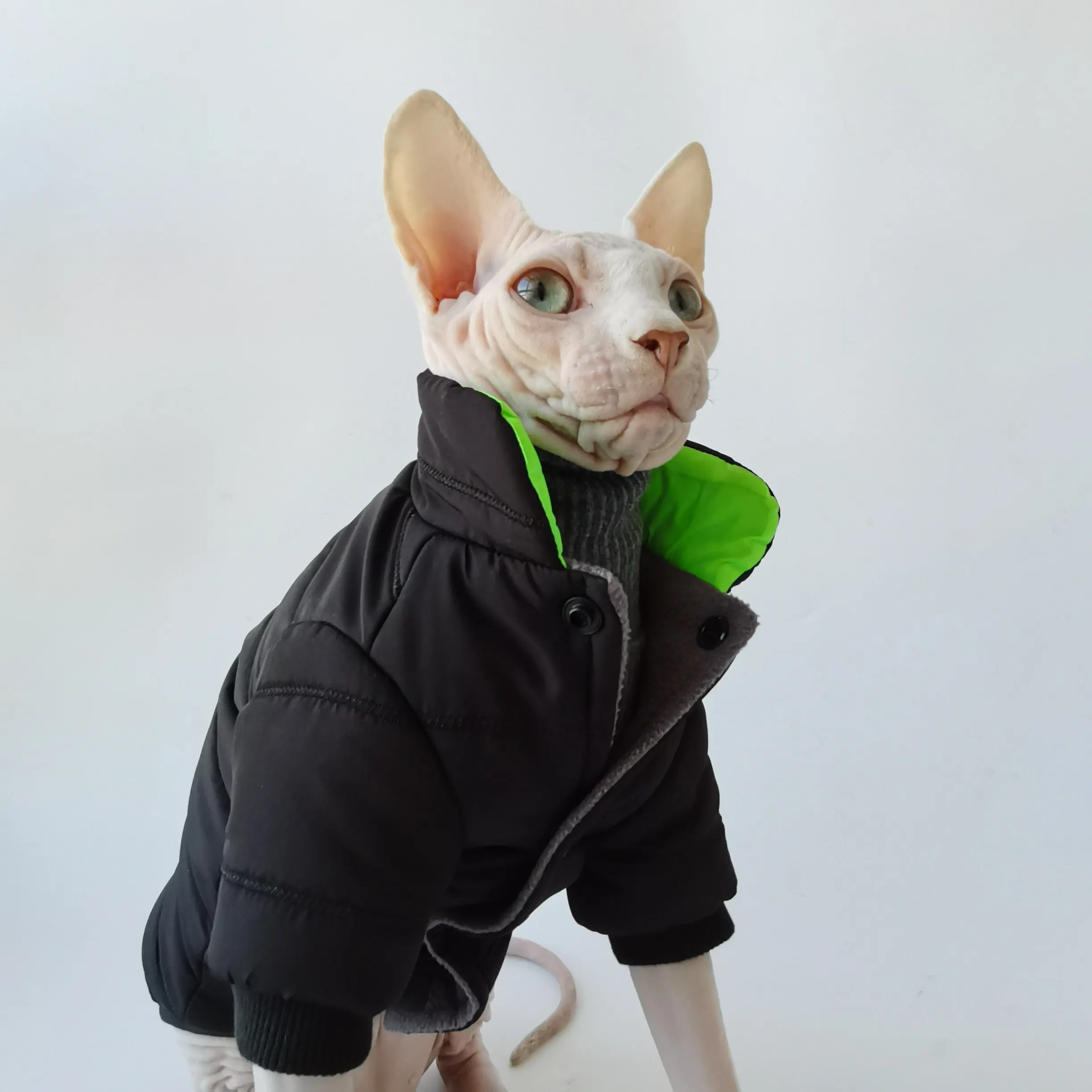 Chaqueta de invierno para gatos Sphynx y Devon Rex – Cuello alto