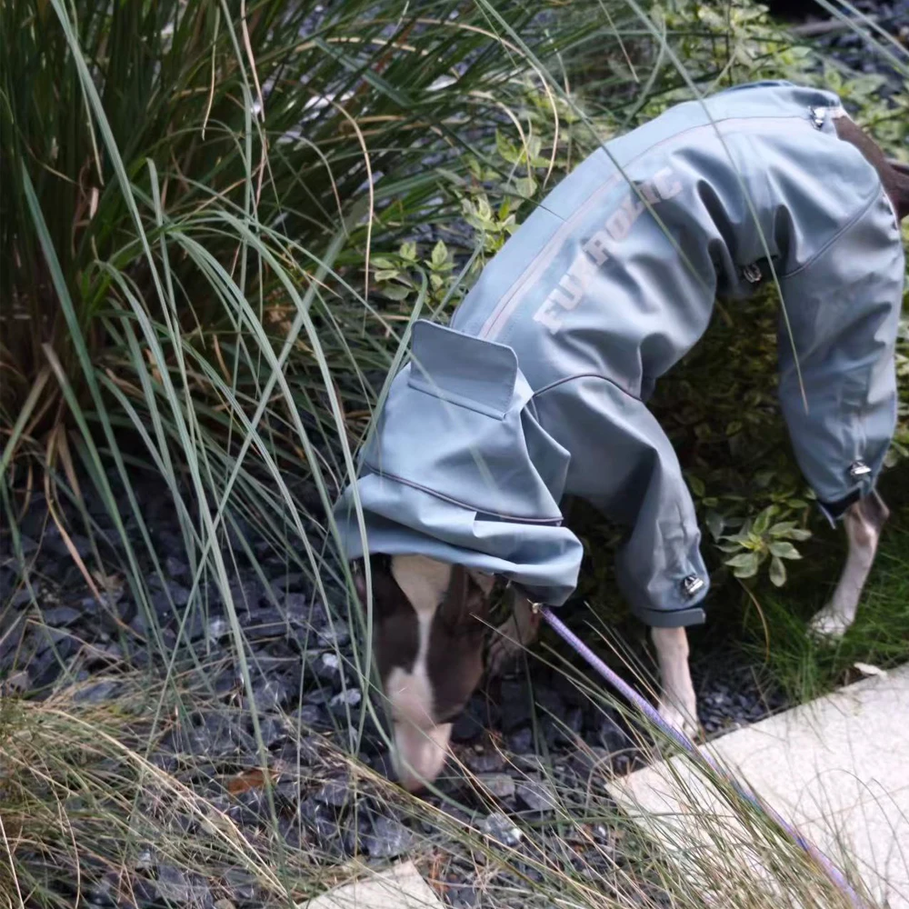 Impermeable para perros con cuello alto - Ajuste cómodo en tallas - imagen 4