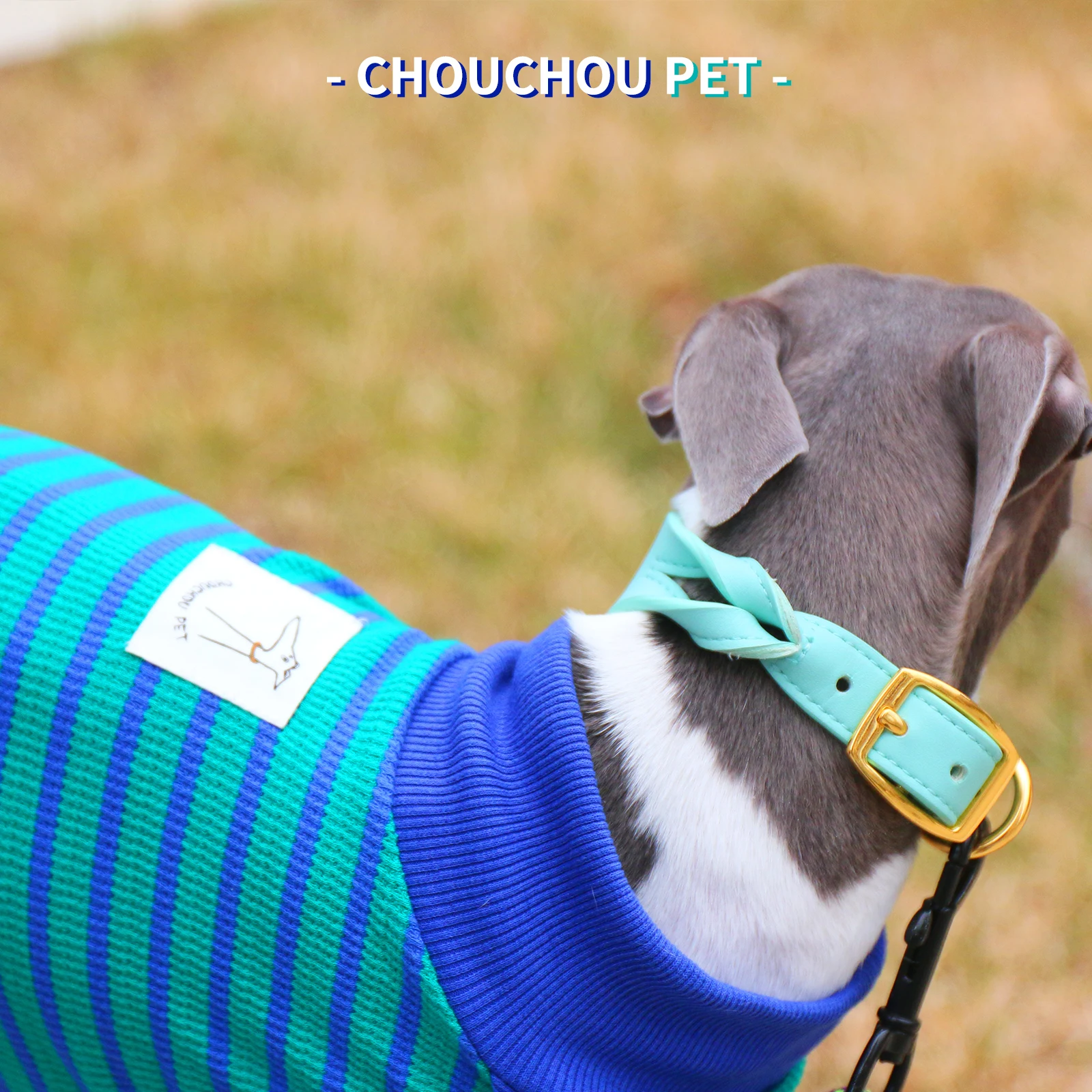 Camiseta deportiva de algodón para perros en primavera, chaleco elástico suave a rayas para levriero italiano, ropa de descanso de verano para Whippet - imagen 3