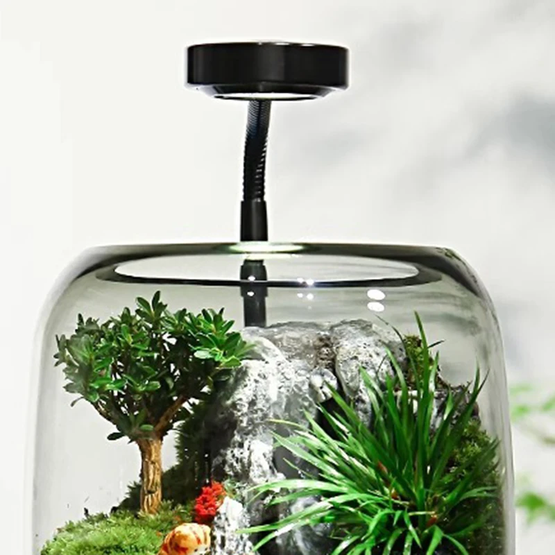 Acuarios, pecera pequeña, botella de plantas ecológica, cuencos de peces, luz para niños, pecera de visualización, micropaisaje, decoración de escritorio para oficina - imagen 4