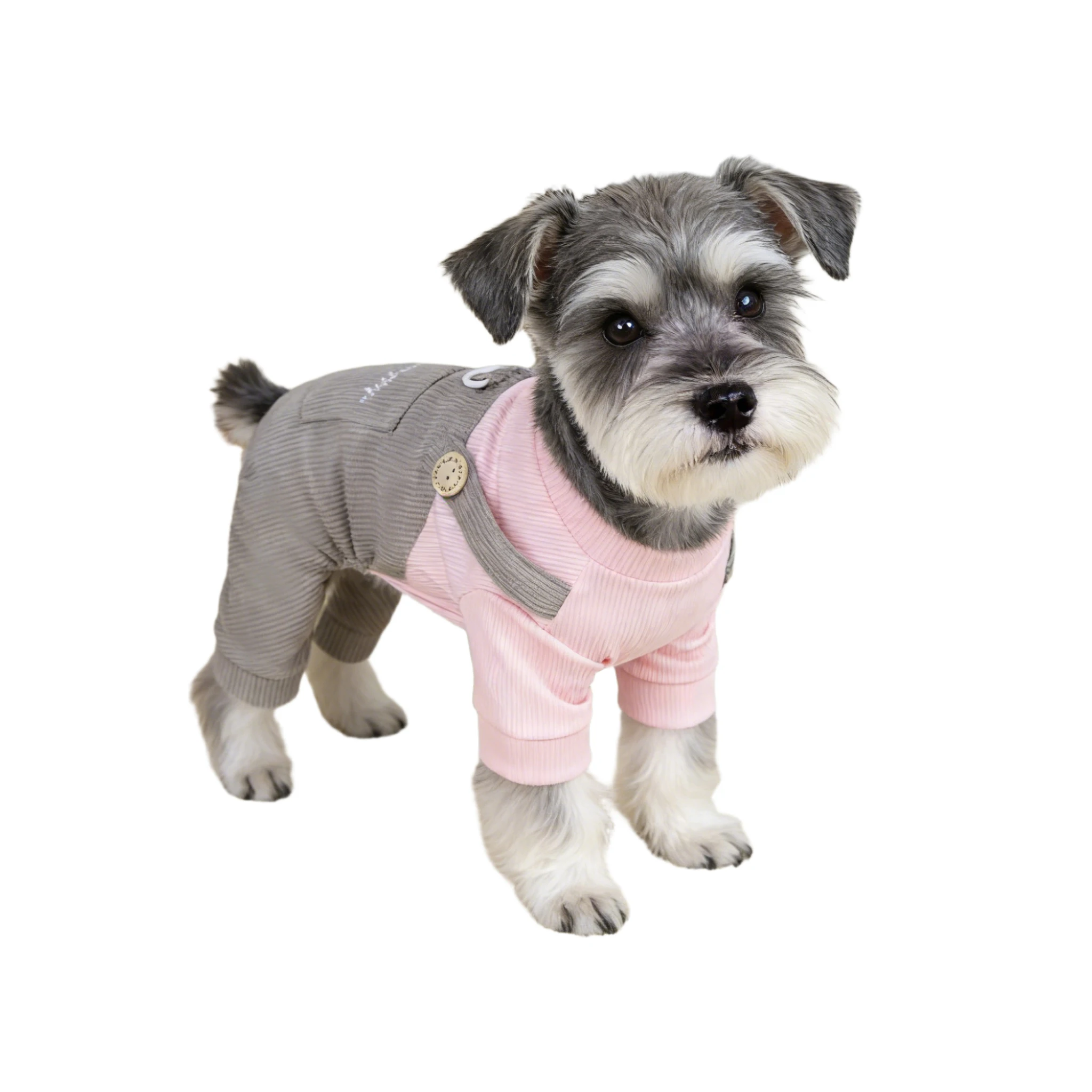 Overol de algodón para perros pequeños y medianos, disfraz primavera - imagen 4