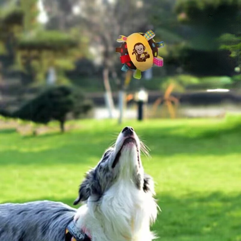 Pelota de peluche para perro, juguete interactivo para masticar para mascotas pequeñas y grandes, chirriantes bolas, accesorios de entrenamiento para cachorros - imagen 3