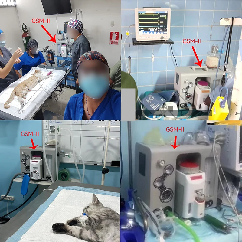 Máquina de anestesia portátil para perros y gatos – Veterinaria - imagen 5
