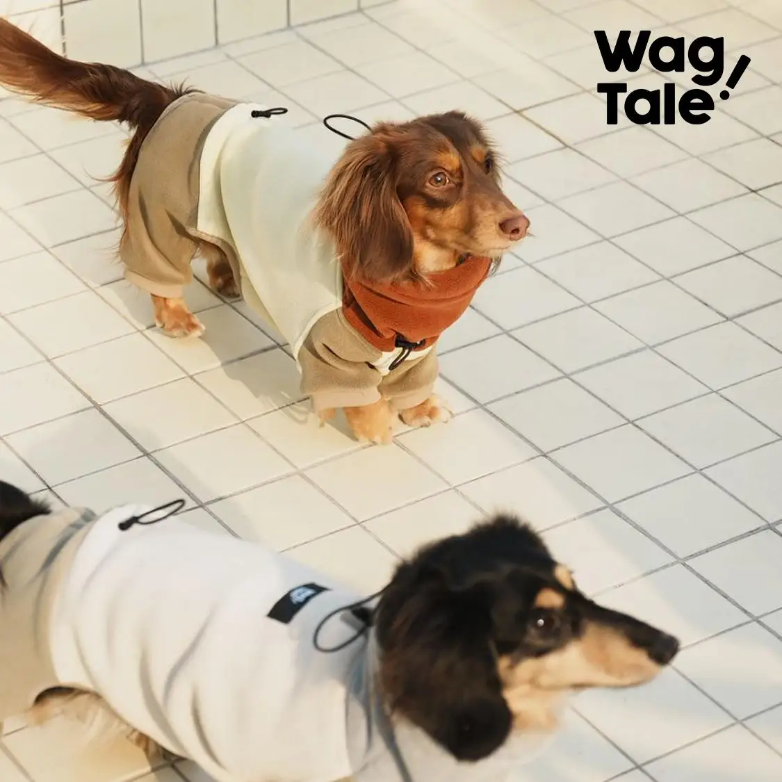 Ropa gruesa de moda para perros salchicha de 4 patas, abrigo cálido con cuello alto a prueba de viento para perros salchicha en invierno