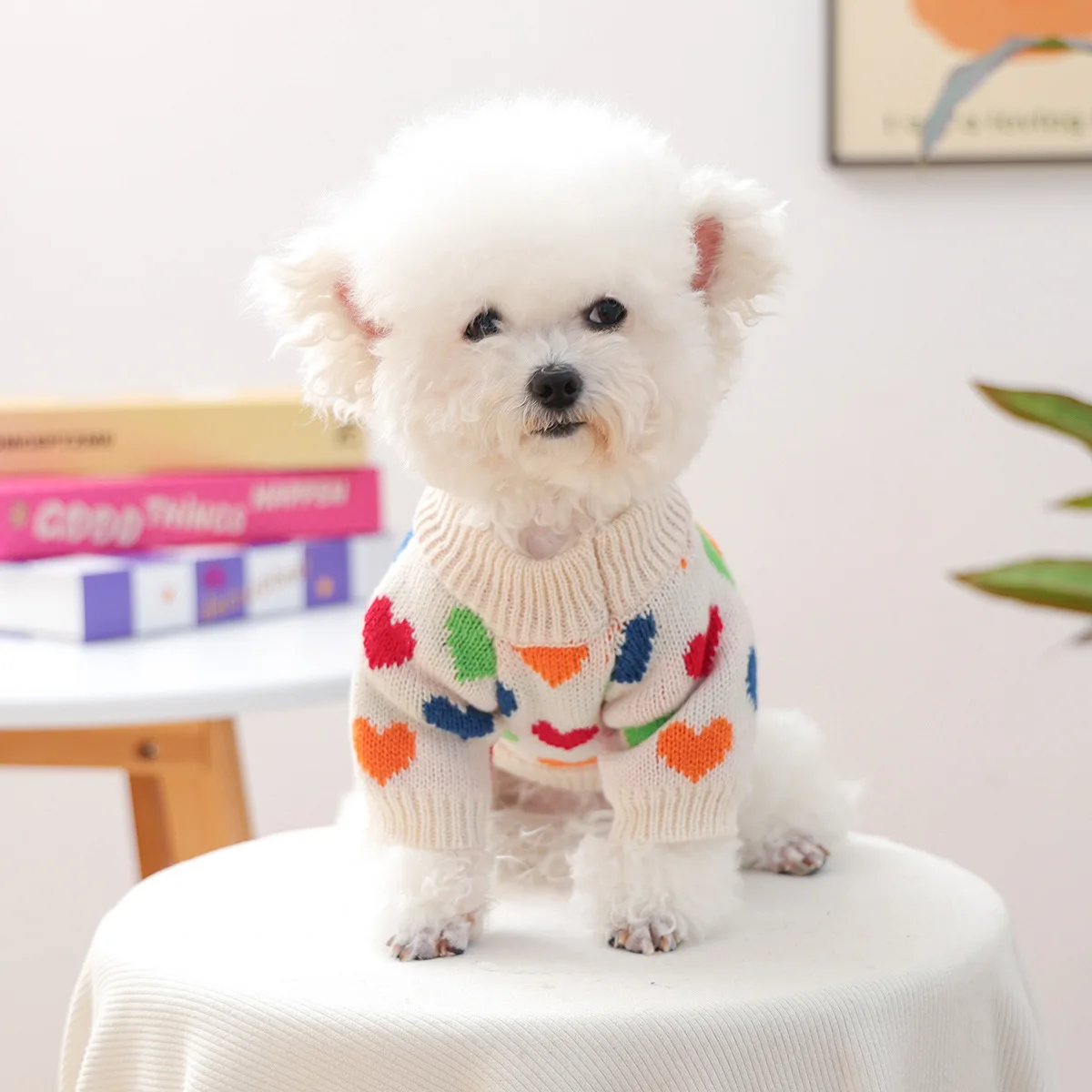 Suéter de punto de amor para otoño/invierno para mascotas, suéter de amor colorido cálido y cómodo para perros pequeños/gatos, ropa para cachorros - imagen 3