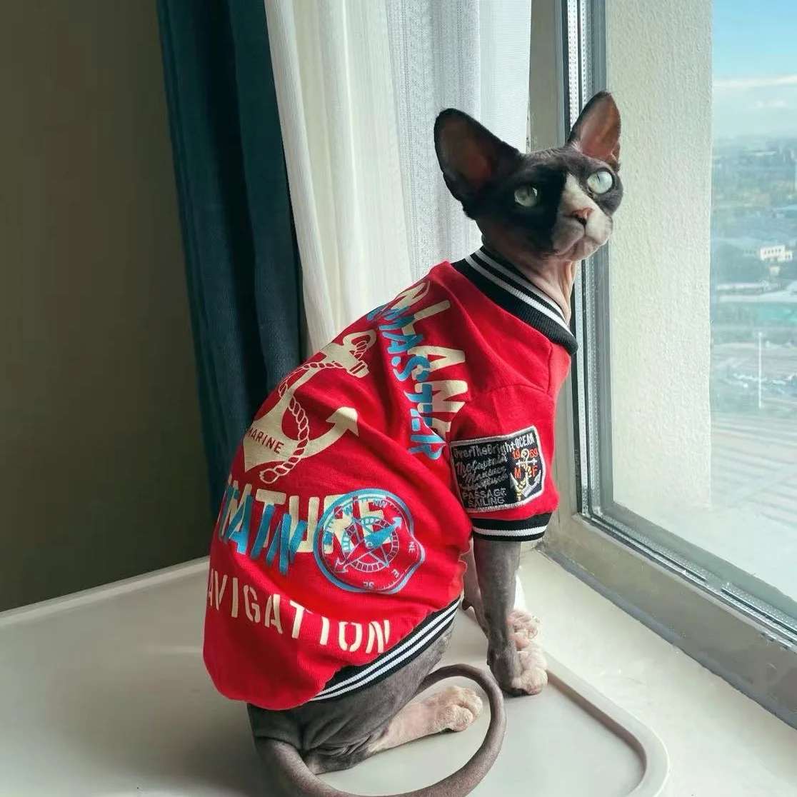 Abrigo rojo de manga larga a la moda para gatos en primavera y otoño, Camiseta de algodón suave con dibujos animados, disfraz de Cosplay de Seafarero para gato esfinge - imagen 4