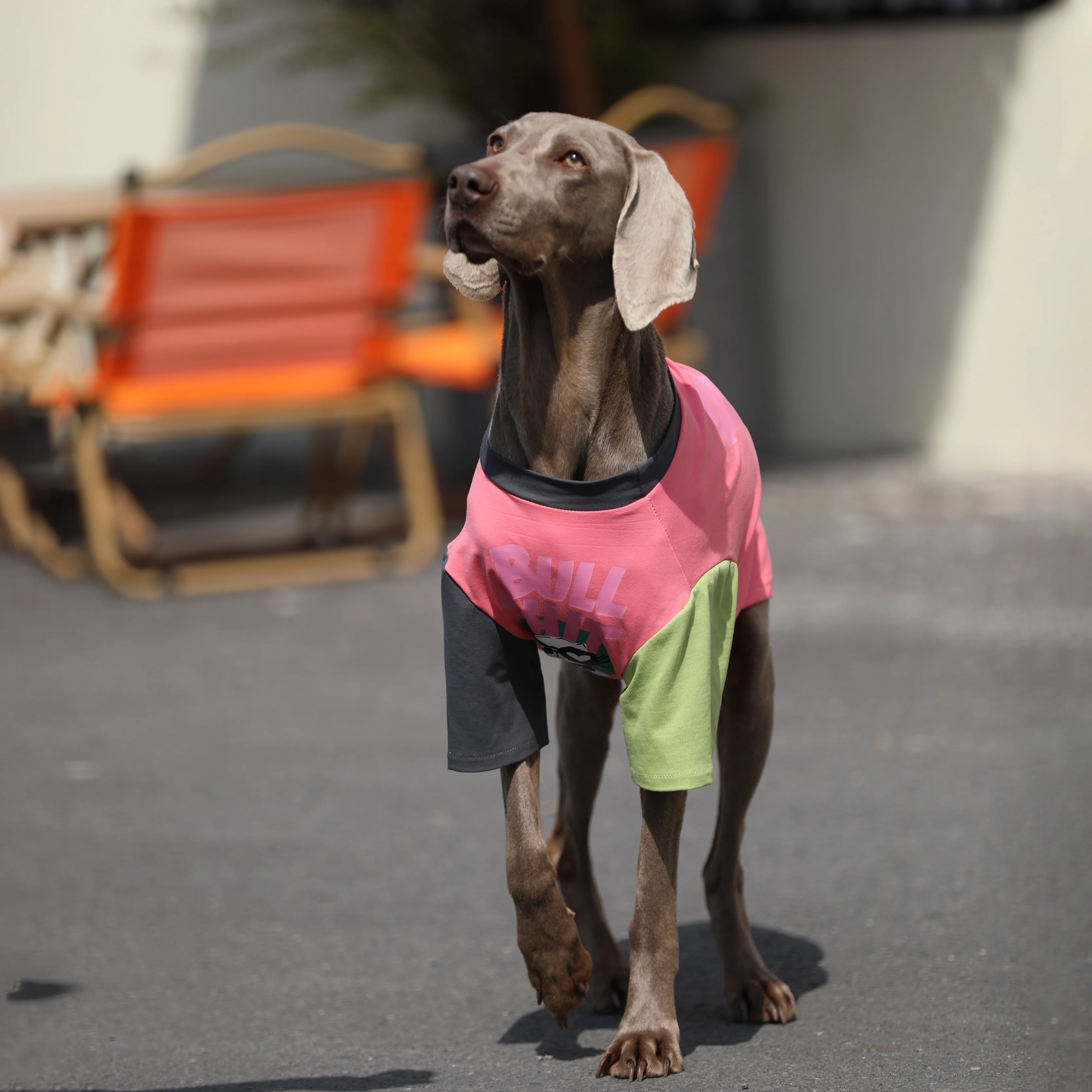 Primavera Verano Patchwork camiseta de perro grande Golden Retriever Labrador trajes moda disfraz de prevención del cabello para perros medianos y grandes - imagen 2