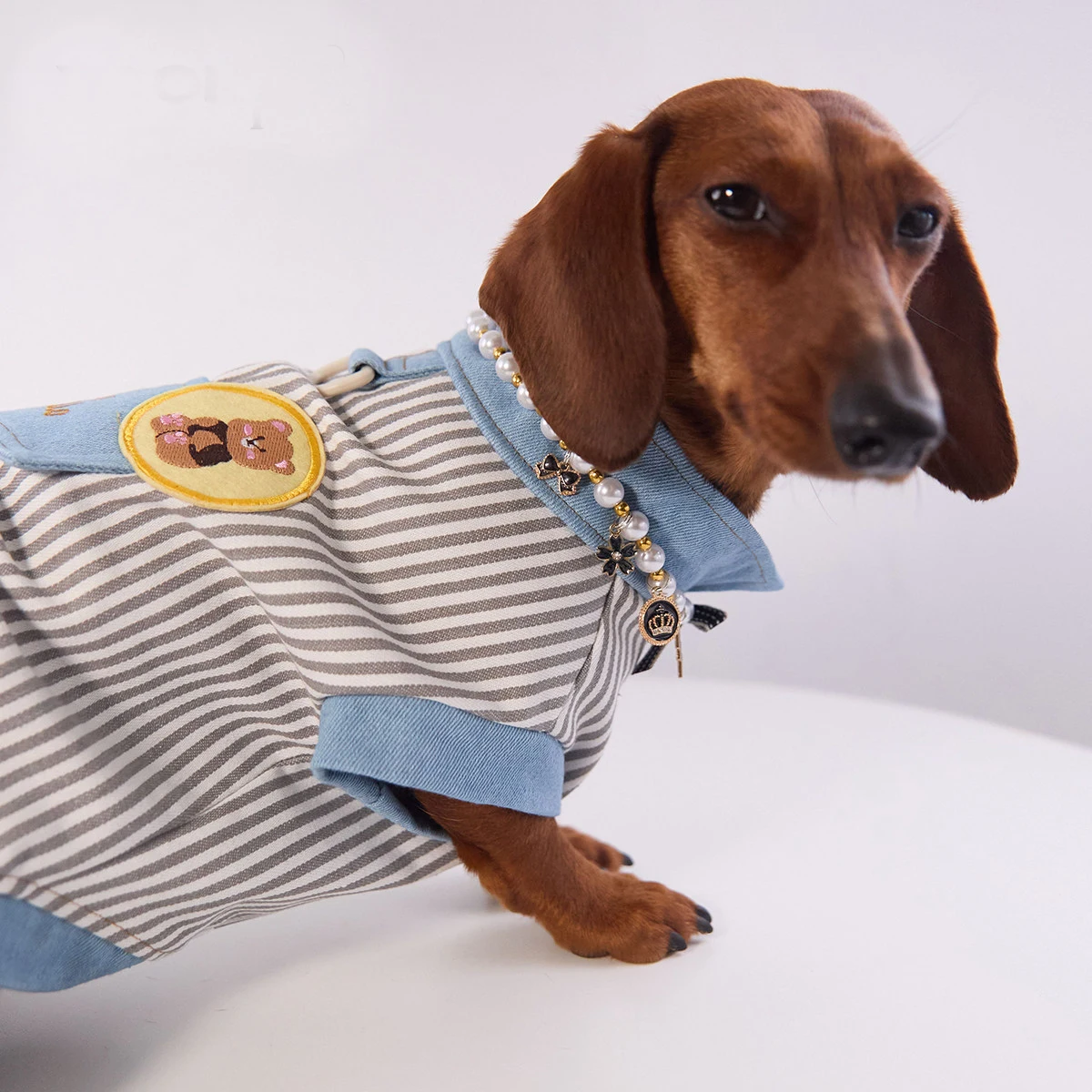 Ropa para dachshund – Camiseta primavera y chaleco de verano - imagen 5