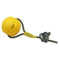 Ball With Rope  L