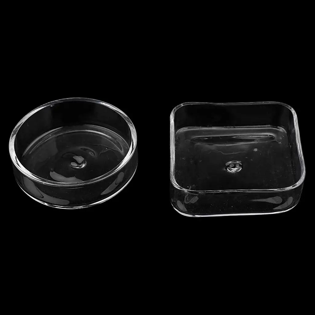 Comedero para gatos y perros en vidrio transparente – Plato para camarones