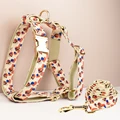 Harness   leash