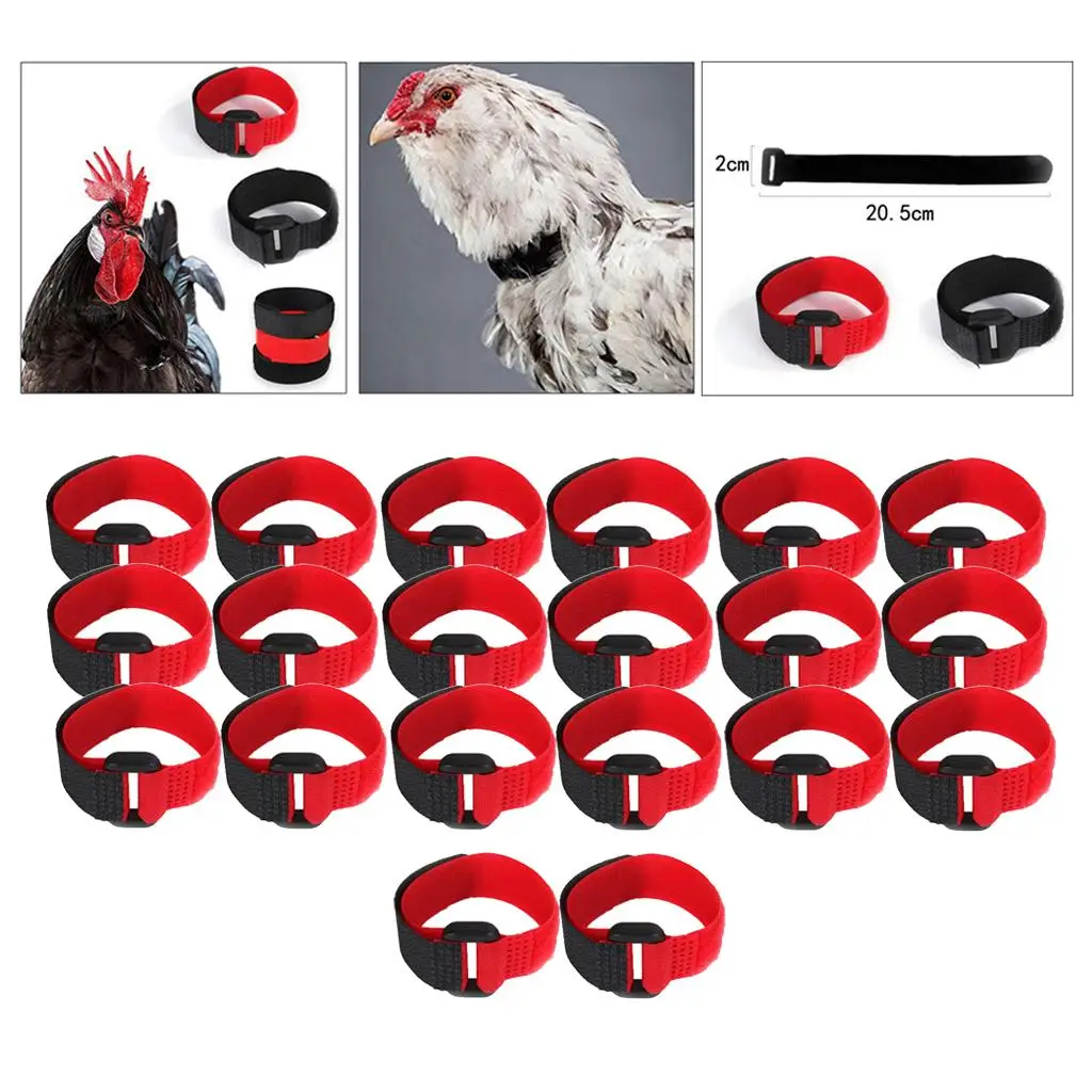 20 piezas de pollo con cuello para gritar para aves de corral y gallo - imagen 4
