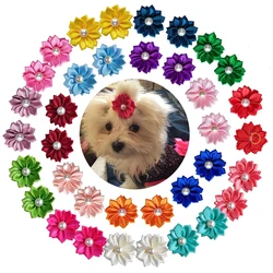 Pack de lazos de goma para pelo de perros pequeños - Grooming canino
