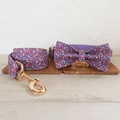 Bow Tie Collar Leash