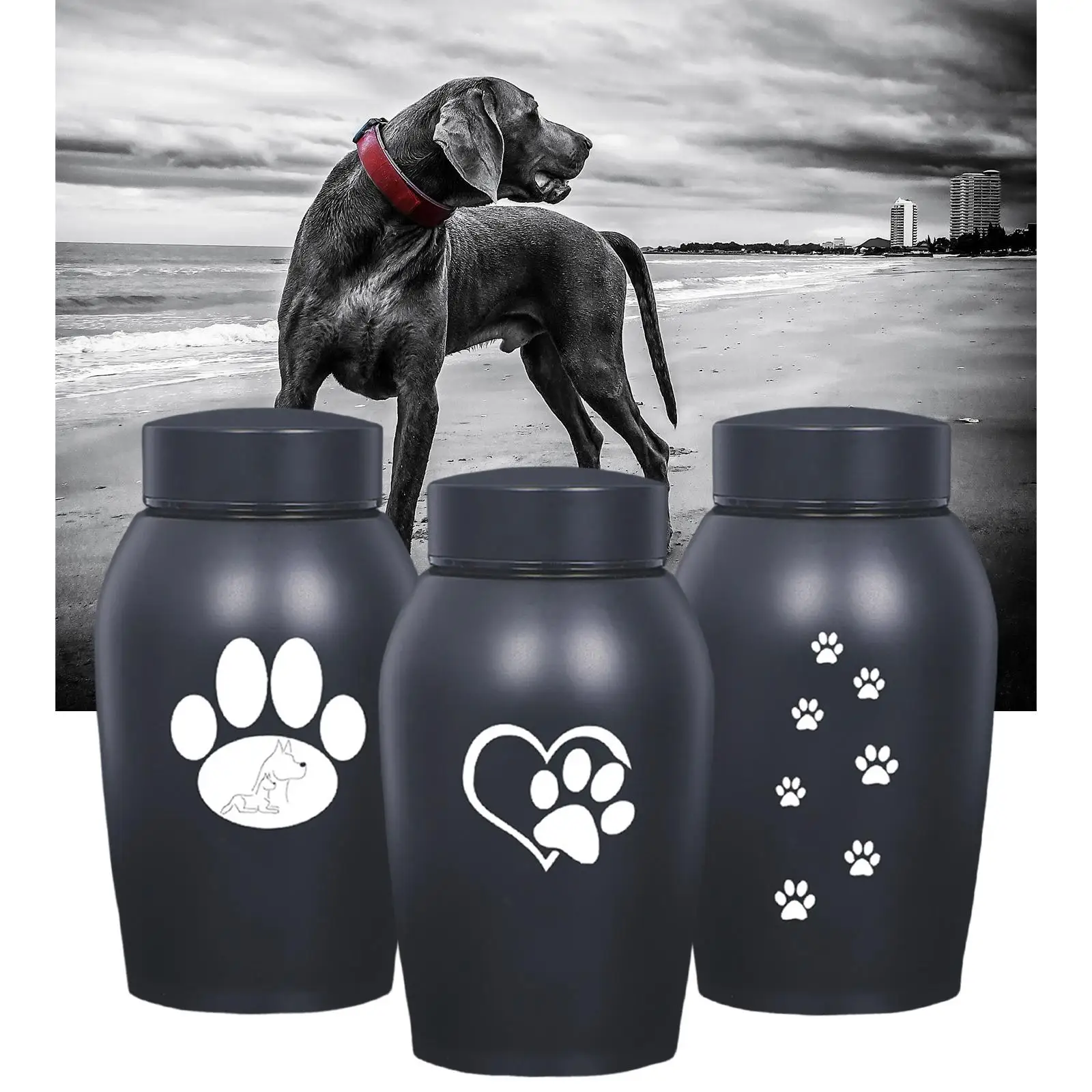 Pet Cremation Memorial Urn Casket Durable Keeping Precious Memories for Pets Burial Funeral Supplies Pet Cremation Memorial Urn Casket Durable Keeping Precious Memories for Pets Burial Funeral Supplies