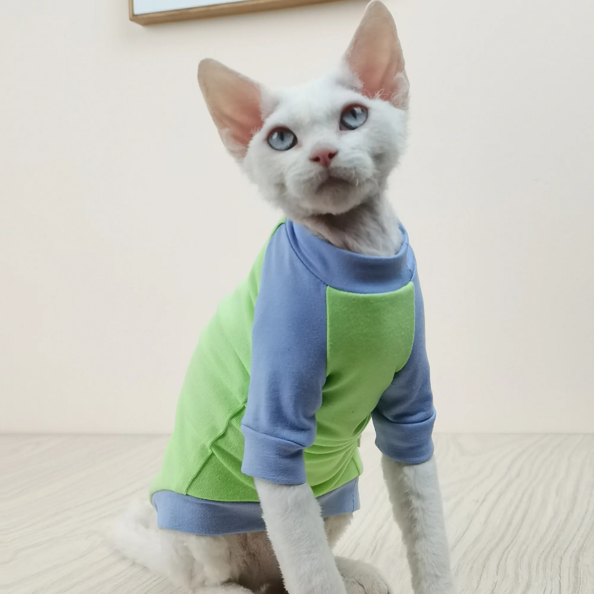 Ropa para gatitos en primavera, Camiseta de algodón verde suave para gato sin pelo, abrigo rosa de manga larga para pijama Devon Rex para Sphynx - imagen 5