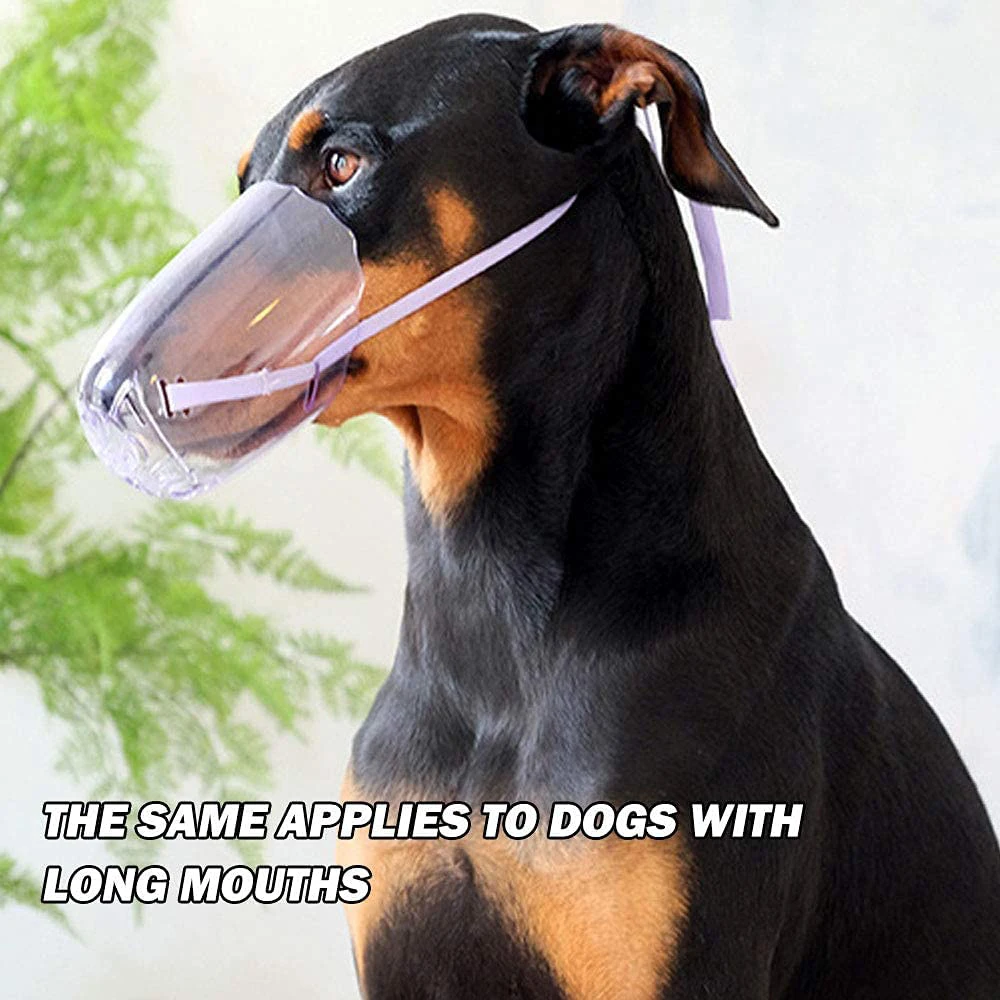 Kit de bozales LDLC para gatos y perros de hocico puntiagudo