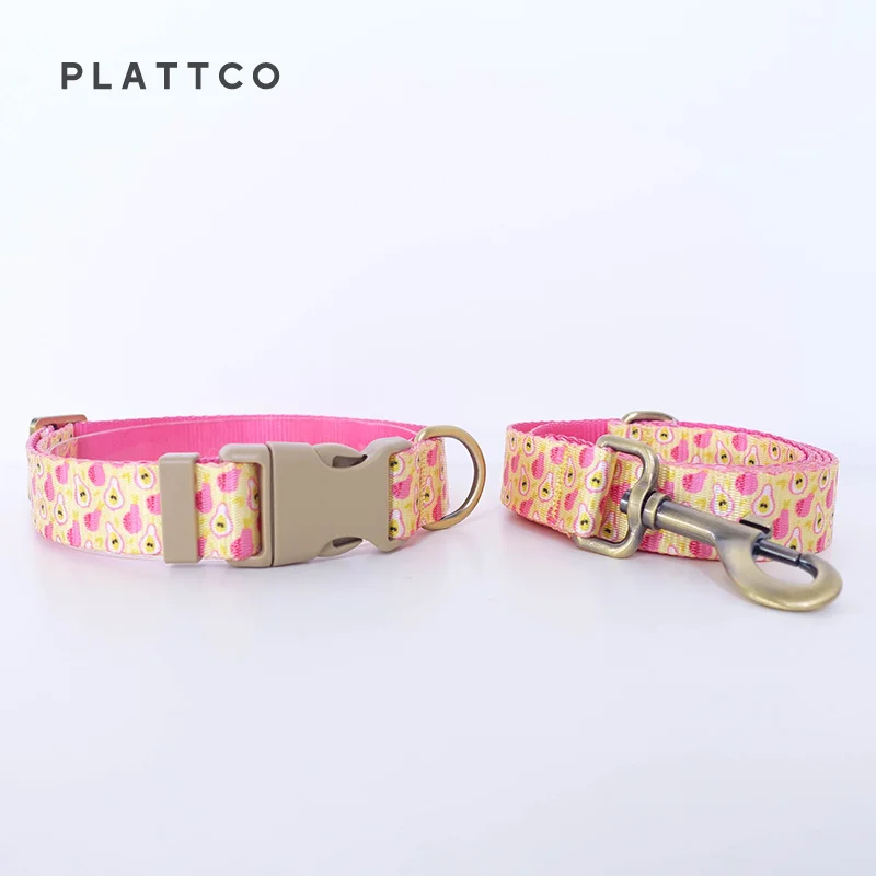 Dog Collar Leash Set