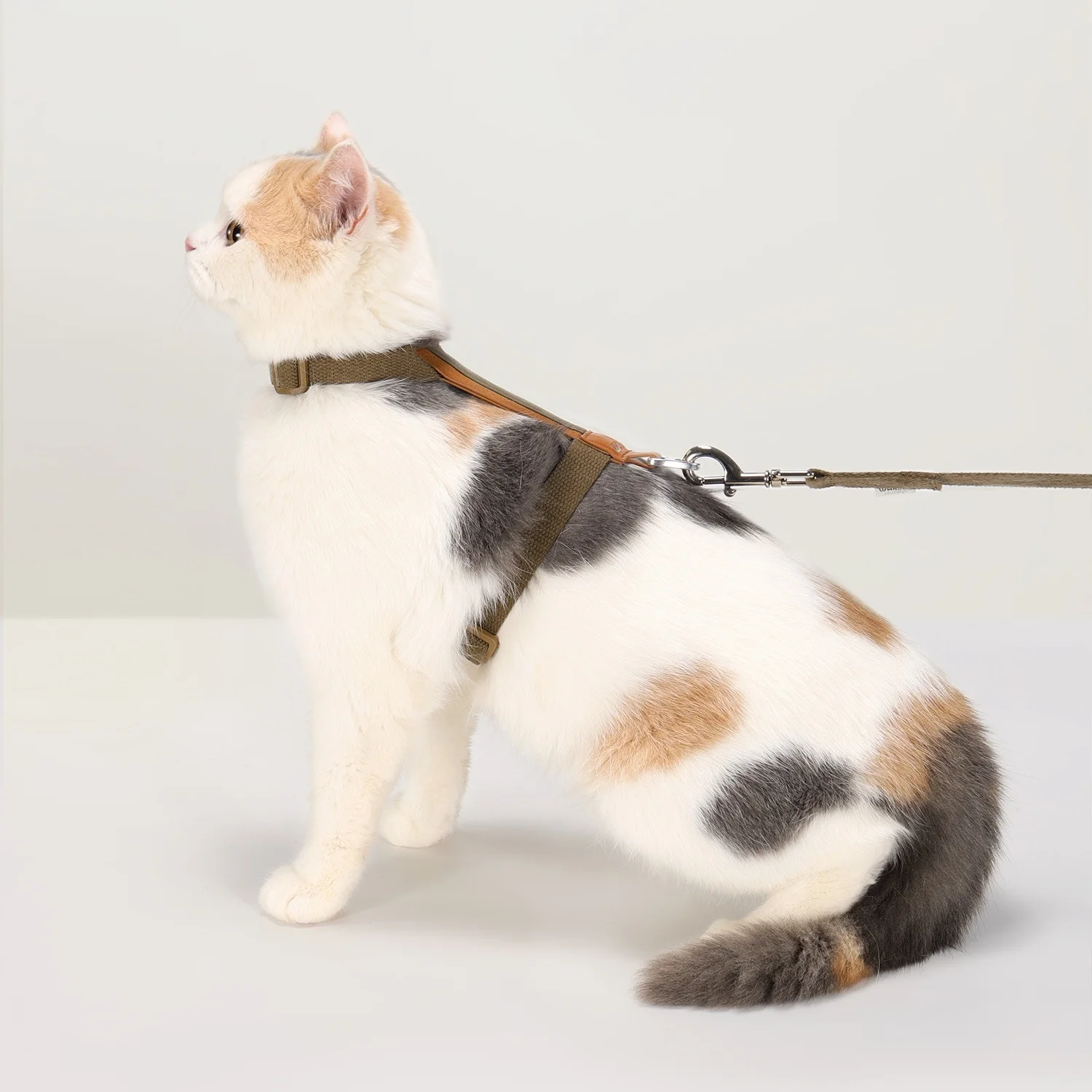 Arnés en forma de H para mascotas, arnés de cuero suave para gatos con juego de correa, arnés ligero para mascotas, arnés ajustable a prueba de Escape para gatos - imagen 3