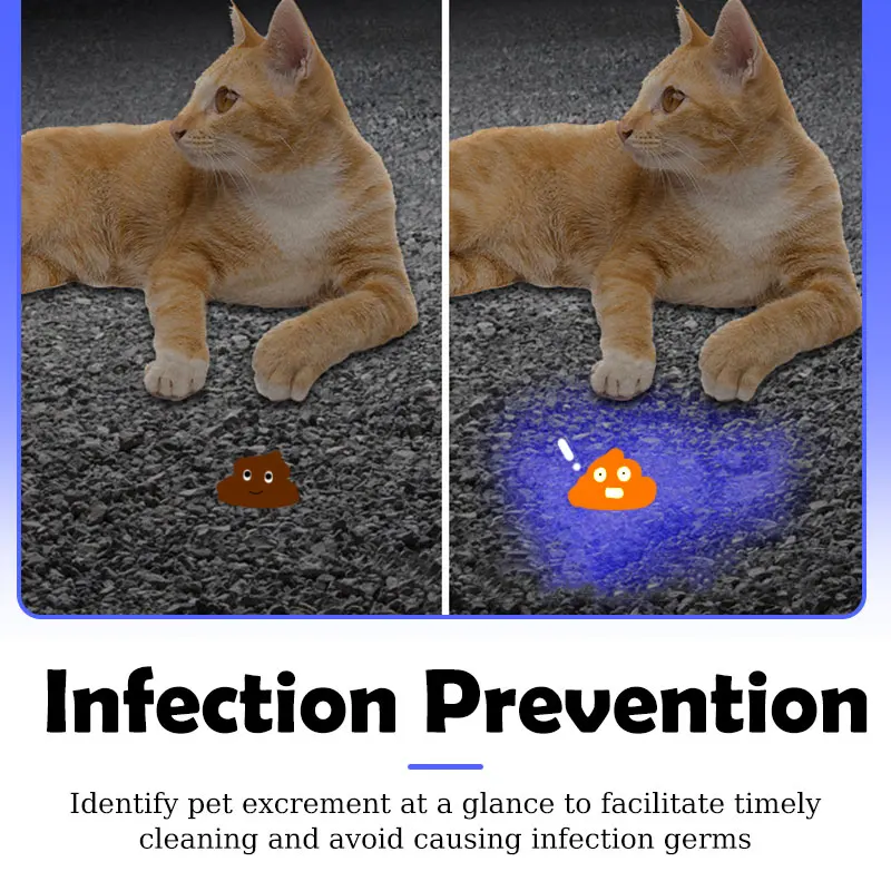 Lámpara de detección de musgo de gato recargable por USB, linterna UV de madera impermeable para mascotas, Detector ultravioleta portátil de mano para fluorescentes - imagen 4