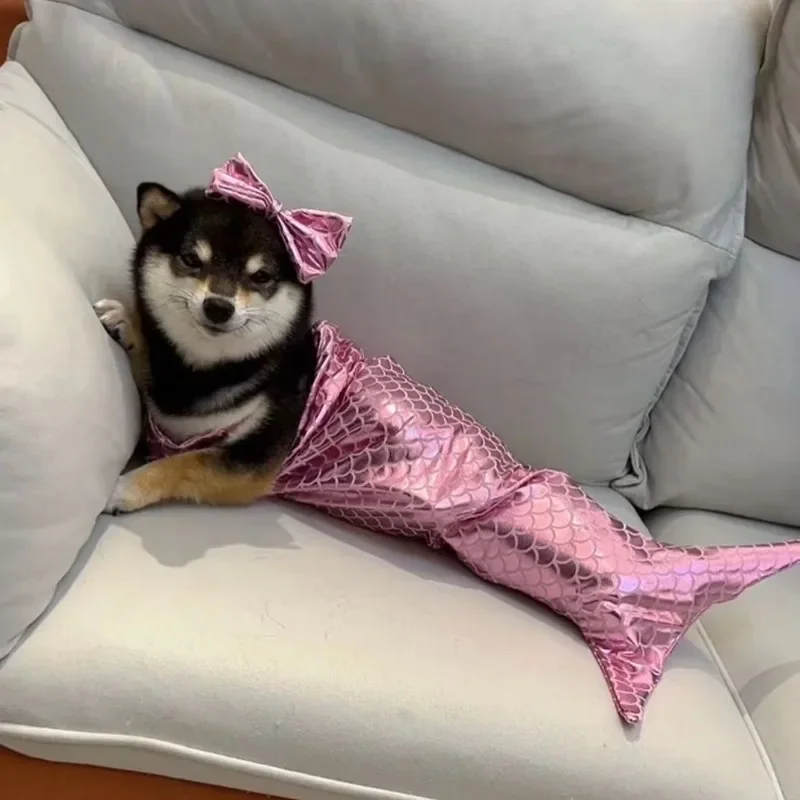 Disfraz de sirena para Gato, vestidos para perros, traje de baño divertido con diseño de cola de pez, Bikini bonito para perros, ropa de verano para mascotas y Halloween - imagen 3