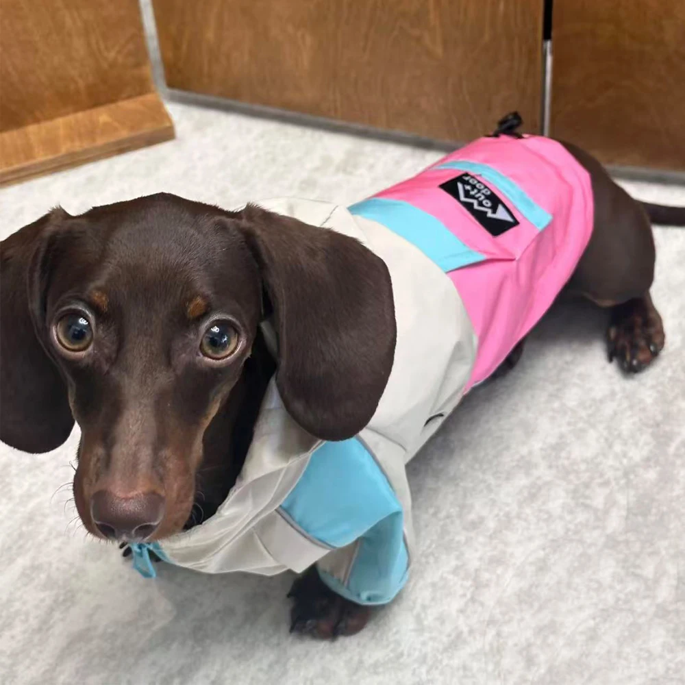 Chaqueta impermeable para perros Wiener, impermeable de 2 patas para perros tejón, chaqueta intercambiable transpirable para perros salchicha - imagen 2