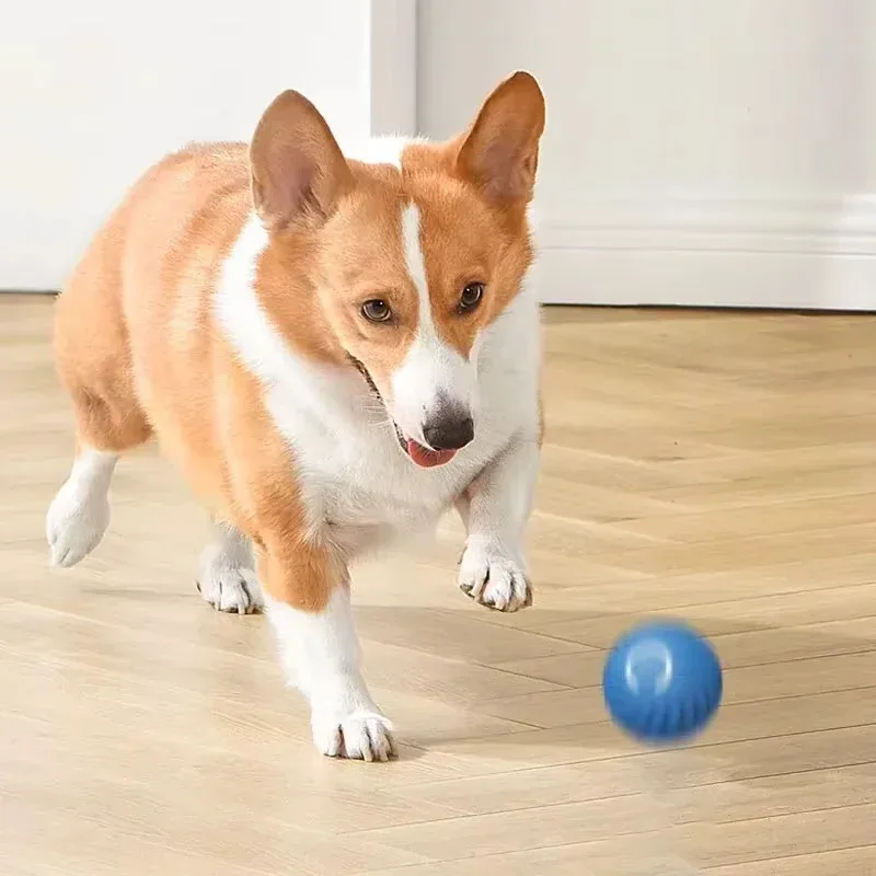 1 Uds. Juguetes para perros, pelota inteligente para saltar por gravedad, pelota rodante recargable resistente a mordeduras, juguetes interactivos para mascotas para gatos y perros - imagen 3
