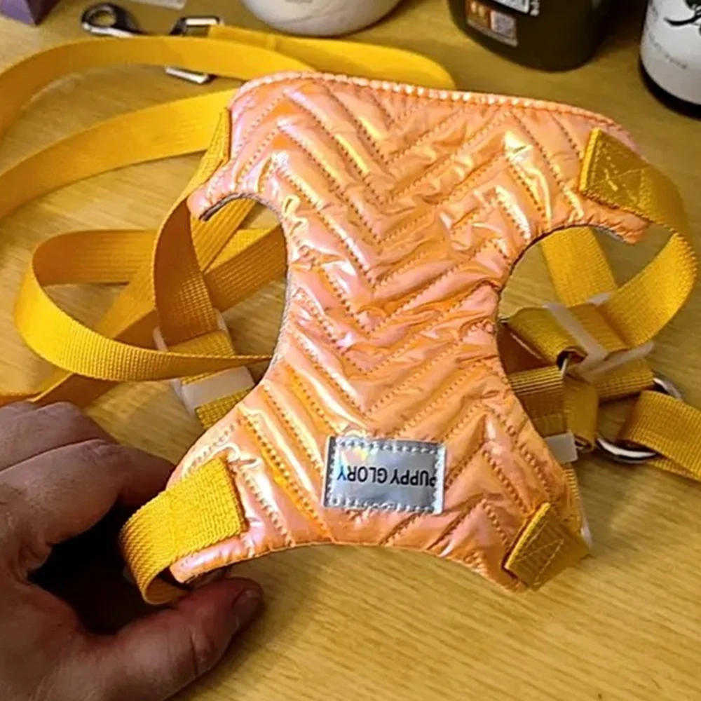 Chaleco de moda para perro, arnés sin tirones, impermeable, para el pecho de mascotas, perros pequeños, Schnauzer bichones, cachorro, suministros para caminar al aire libre - imagen 5