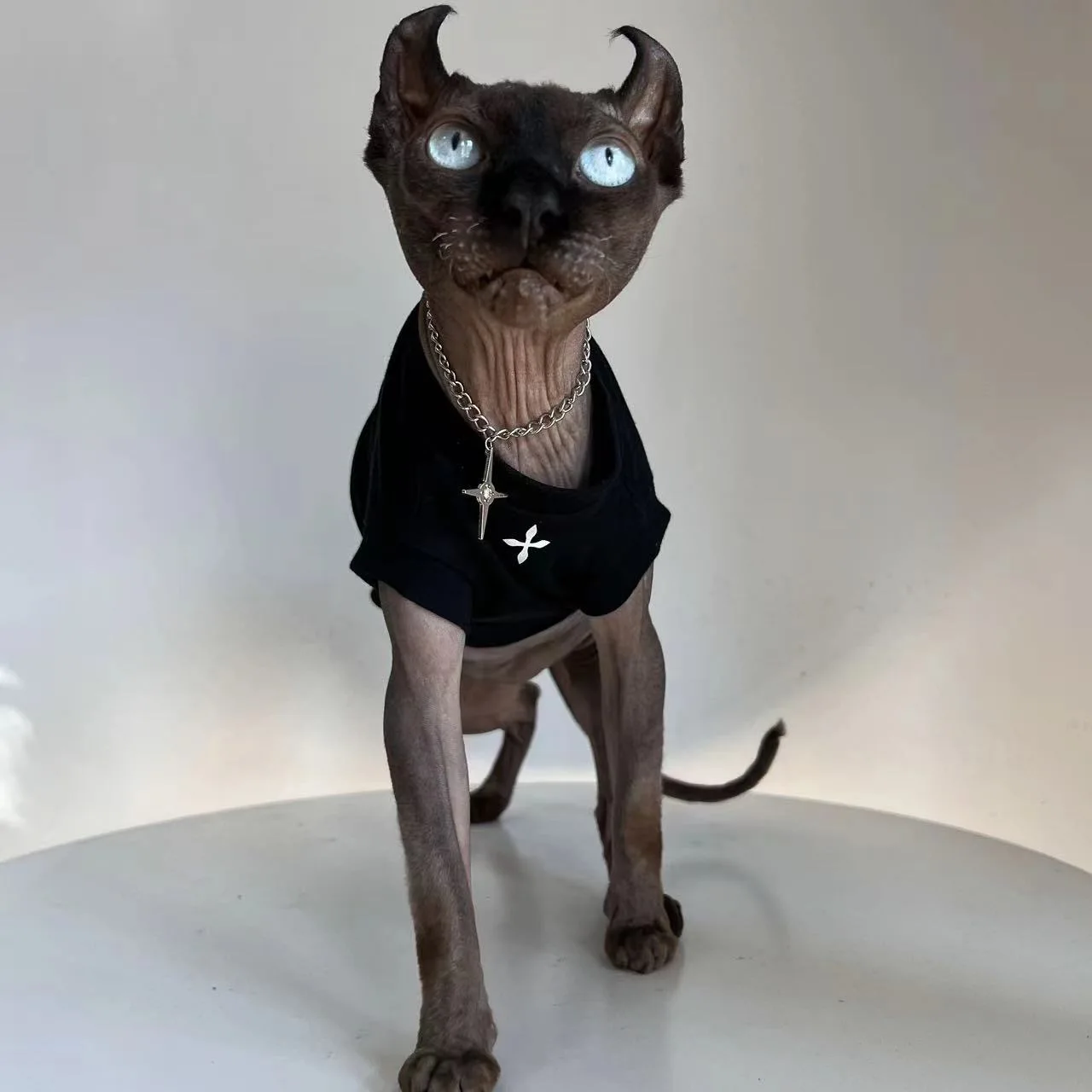 Ropa transpirable para gatos, camiseta de algodón, pijama de gatito de manga corta para gatos sin pelo, Sphynx, Devon Rex, Cornish Rex - imagen 2