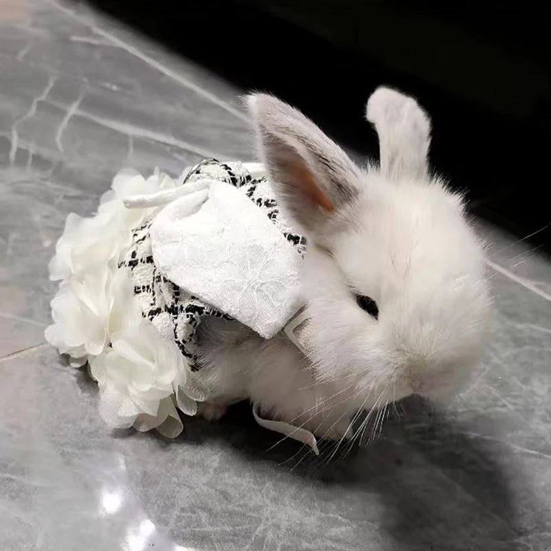 Ropa de conejo a la moda con arnés, arneses para mascotas para caminar y conjunto de correa para animales pequeños, conejillos de indias, traje de Chinchillas - imagen 5