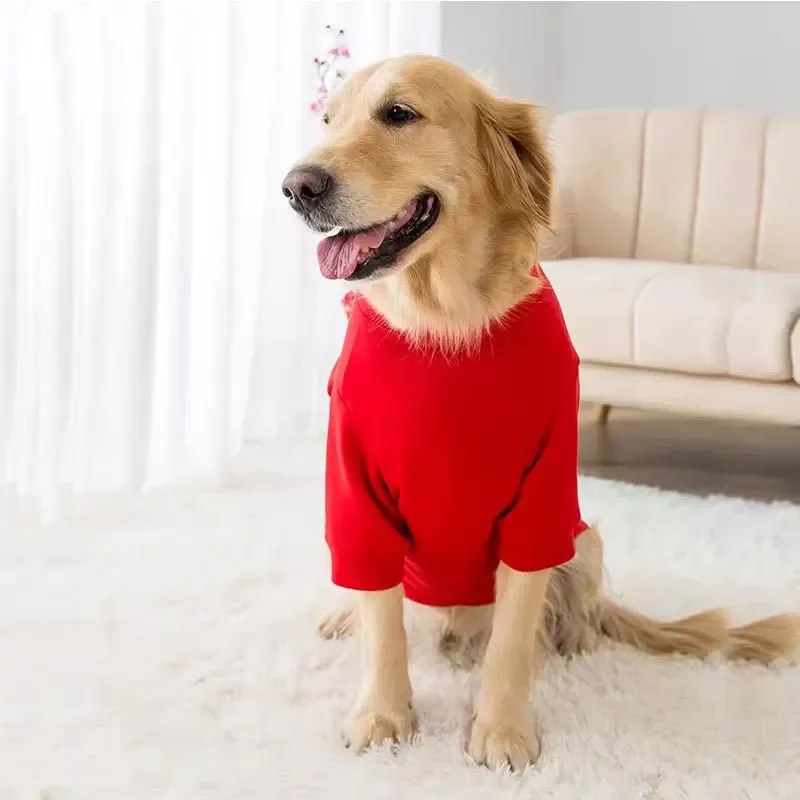 Ropa para perros grandes, Año Nuevo Chino festivo, puede ser feliz y próspero, suéter cálido de terciopelo fino para perros grandes con dos patas - imagen 2