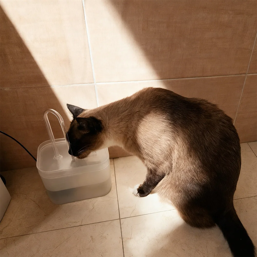 Fuente de agua para gatos y cachorros de 2,5 L, fuente para mascotas de gran capacidad para interiores filtrada con bomba ultrasilenciosa, perfecta para familias multimascotas