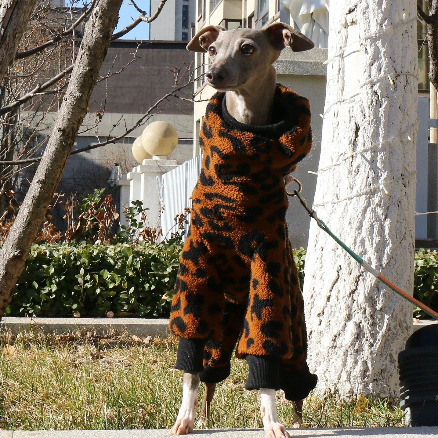 Pijama abrigada print leopardo para perros medianos, galgos y Whippet - imagen 2