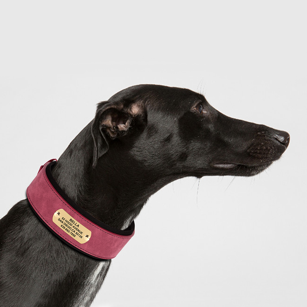 Collar ancho de cuero PU personalizado con etiqueta para perros de diferentes tamaños con diseño acolchado