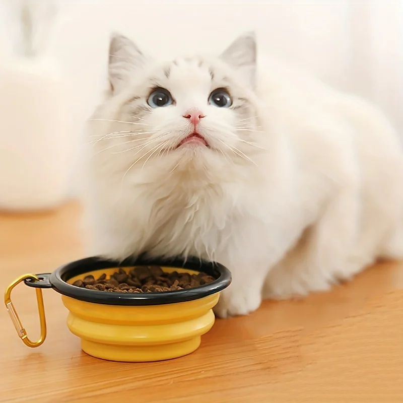 Cuenco plegable con marco negro de 350ML con llavero, cuenco para mascotas, cuenco de viaje portátil, práctico cuenco para gatos, cuenco plegable no fácil de deformar - imagen 2