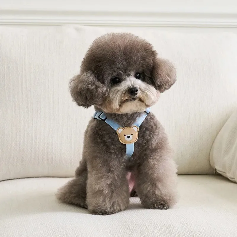 Lindo oso mascota perro arnés correa perro pequeño y mediano para caminar cachorro Bichon Schnauzer perro arnés de pecho conjunto suministros para mascotas - imagen 4