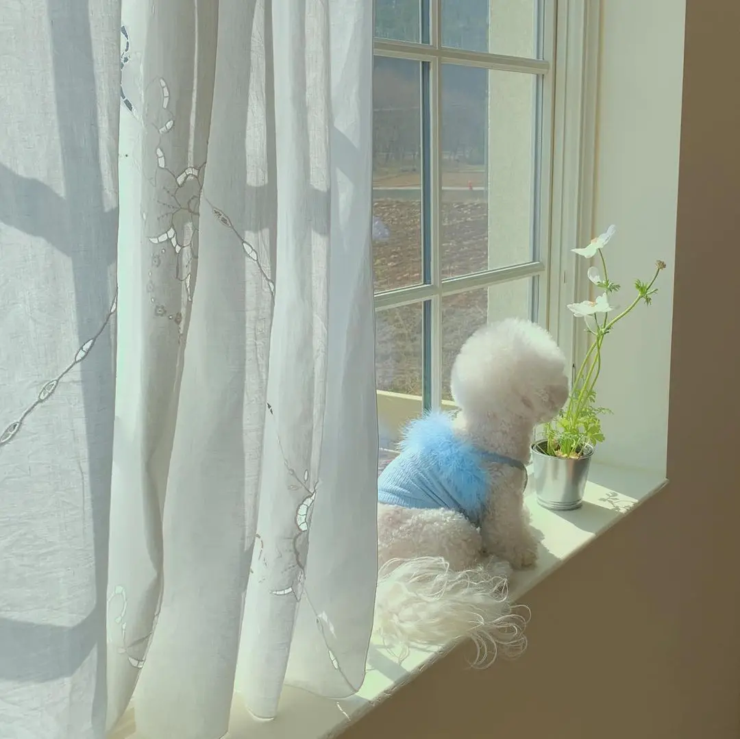 unknown_336813239_752886089548