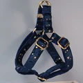dog harness(Gold)