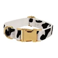 Dog collar